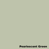Paint-Life Tone | Lacquer