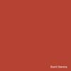 Paint-Life Tone | Lacquer