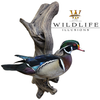 Bird Bodies | Final Generation by Wildlife Illusions