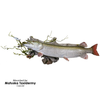 Artificial Driftwood