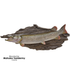 Artificial Driftwood