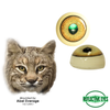 Eyes-Bobcat/Lynx (Reflective-flat back)