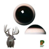 Eyes-Deer (Payer-white banded-med. brown-32mm)