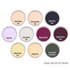 PanPastel | 10 Piece Kits