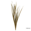 Snake Grass Bundle (18-30")