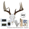 Whitening Kit-European Skull