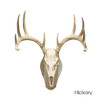 European Skull Display Kit