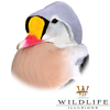 Bird Heads | With Eye & Eye Rings by Wildlife Illusions