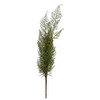 Fern Spray (25")