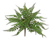 Forest Fern 16"