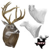 Whitetail Deer | STX (Wall Pedestal)