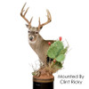 Whitetail Deer | STX (Wall Pedestal)