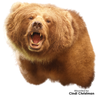 Bear | Black (Aggressive)