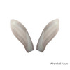 Earliners | Fabric-North American (by Trademark)