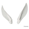 Earliners | Fabric African and Exotic (by Trademark)