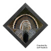 Feather Art Frames (by Jeff Fredrick)