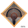 Feather Art Frames (by Jeff Fredrick)
