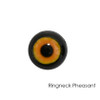 Eyes | Bird (Superior Acrylic)
