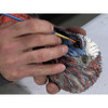 DVD-Mounting A Wild Turkey For Competition Parts w/ Blake Reiminger (by Taxidermy University)
