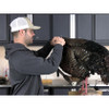 DVD-Mounting A Wild Turkey For Competition Parts w/ Blake Reiminger (by Taxidermy University)