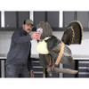 DVD-Mounting A Wild Turkey For Competition Parts w/ Blake Reiminger (by Taxidermy University)