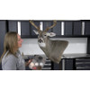 DVD-Mounting A South Texas Whitetail for Competition w/ Jena Everage (by Taxidermy University)