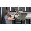 DVD-Mounting A South Texas Whitetail for Competition w/ Jena Everage (by Taxidermy University)