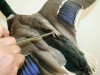 Tweezer (Preening)