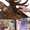 Brushes-Grooming