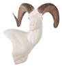 Sheep-Rocky Mountain Bighorn