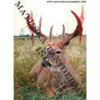 Reference Photos-Whitetail (8x10 Enlargements)