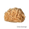 Sponges-Natural Sea
