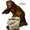 Bear | Black Detailed Mouth Cups by MOHR
