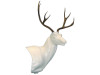 Mule Deer (Semi-Upright Pedestal)