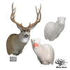Mule Deer | SB (Semi-Sneak Offset)