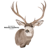 Mule Deer | GZ (Semi-Sneak )