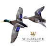 Bird Heads | DIY by Wildlife Illusions