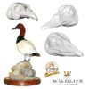 Bird Heads | DIY by Wildlife Illusions