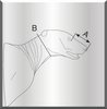 Bear-Black (Offset 3/4 Lifesize)
