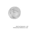 Reference Casts-Whitetail Eye