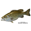 Fish On Fish Form | Bluegill