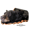 Bear | Black (Closed Mouth Rugshell) Traditional Series