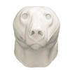 Bear-Grizzly (Closed Mouth)