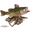 Rock/Driftwood | Medium #1