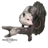 Turkey Roost Branch