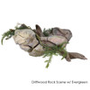 Rock/Driftwood Wall Scenery
