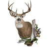 Rock/Driftwood Wall Scenery #1