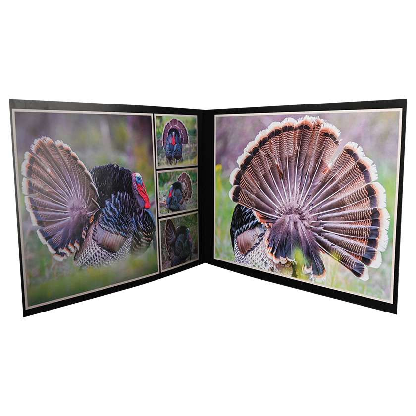 Turkey Reference Books - Images by Dan Verrips - Matuska Taxidermy