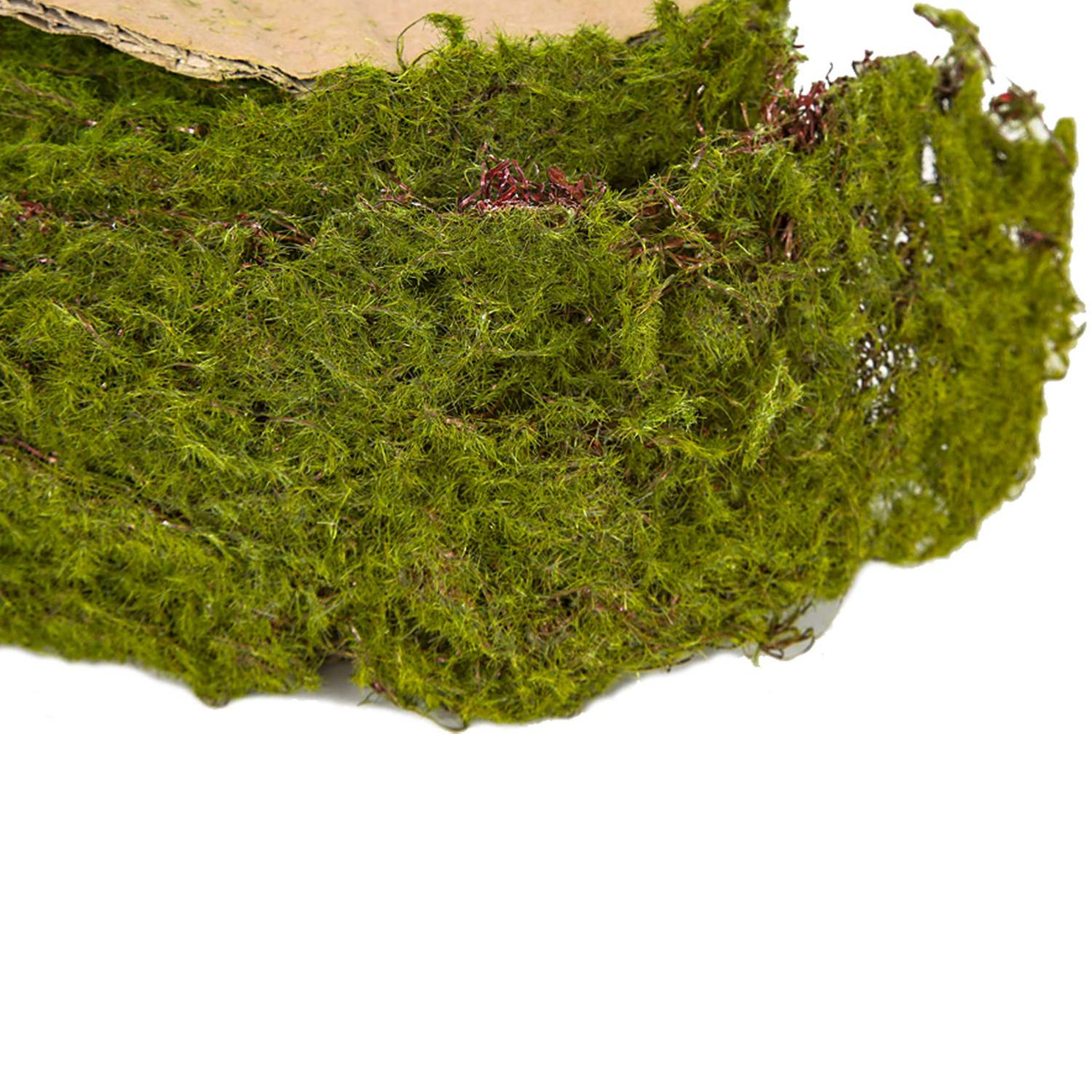 Spool of Moss - Matuska Taxidermy Supply Company