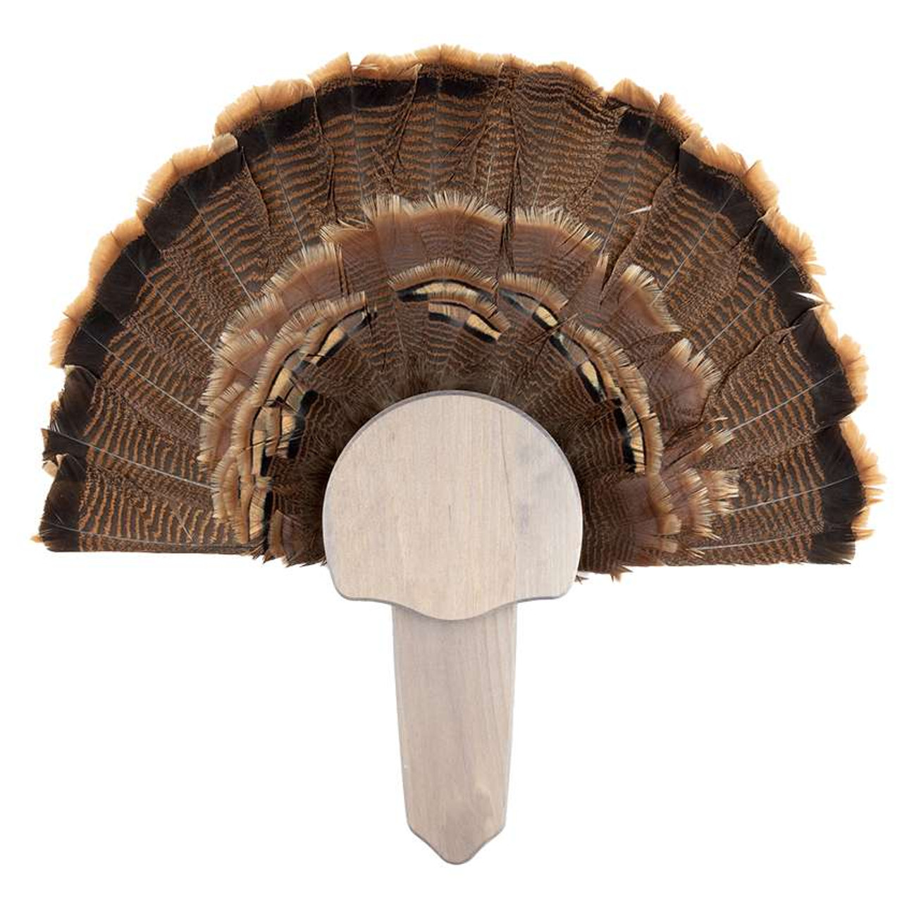 Turkey Mounting Kits